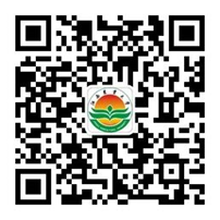 http://www.8337.com.cn/_upload/article/images/19/80/9da5096a43bea258dd4b6ad01e04/a2862ed4-2a32-46ed-be73-4e5ea6210569.png